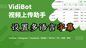 VidiBot进阶教程：设置多语言字幕-VidiBot 视频上传助手 | WxBot 微信自动化