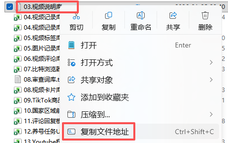 图片[3]-VidiBot教程：设置视频说明-VidiBot 跨平台分发引擎 | WxBot 微信自动化